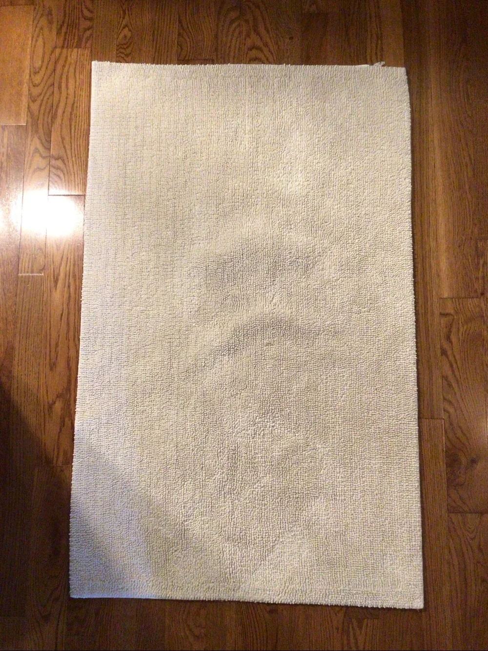 Pottery Barn Ivory 100% Organic Cotton Bath Mat 27” X 45”.